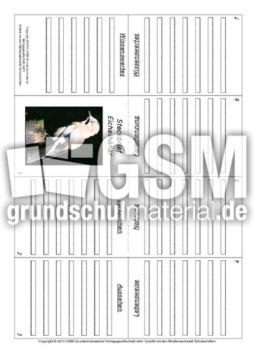 Faltbuch-Eichelhäher.pdf